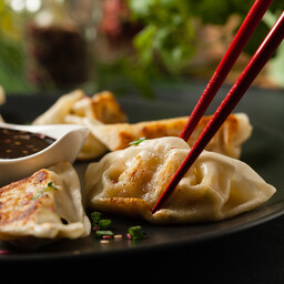 Gyoza di Maiale alla Piastra